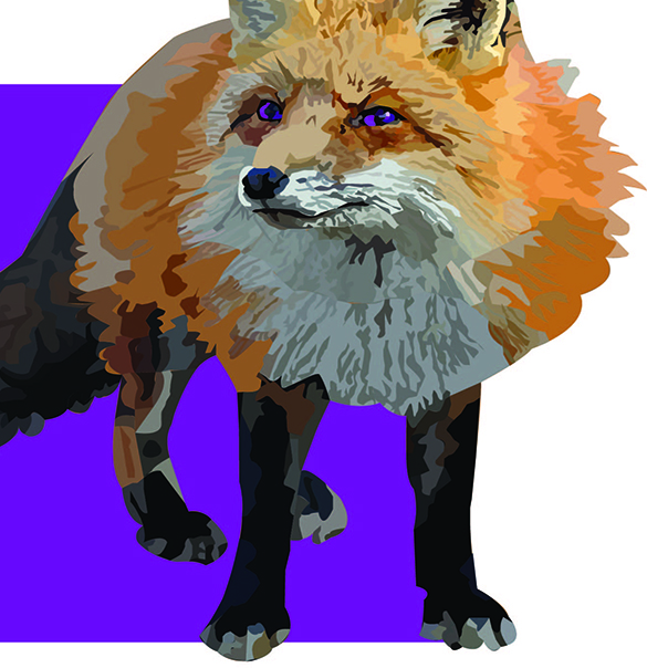 fox