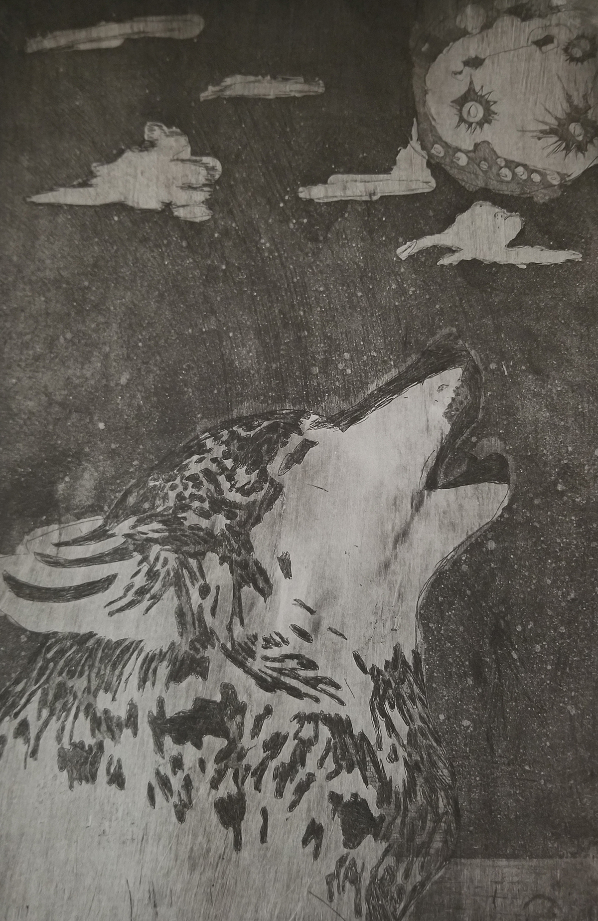 wolf