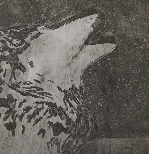 wolf